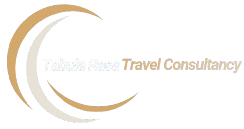 Web_logo_2-removebg-preview